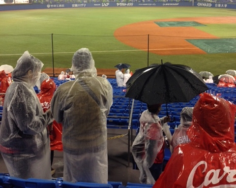 雨 の 日 野球 観戦